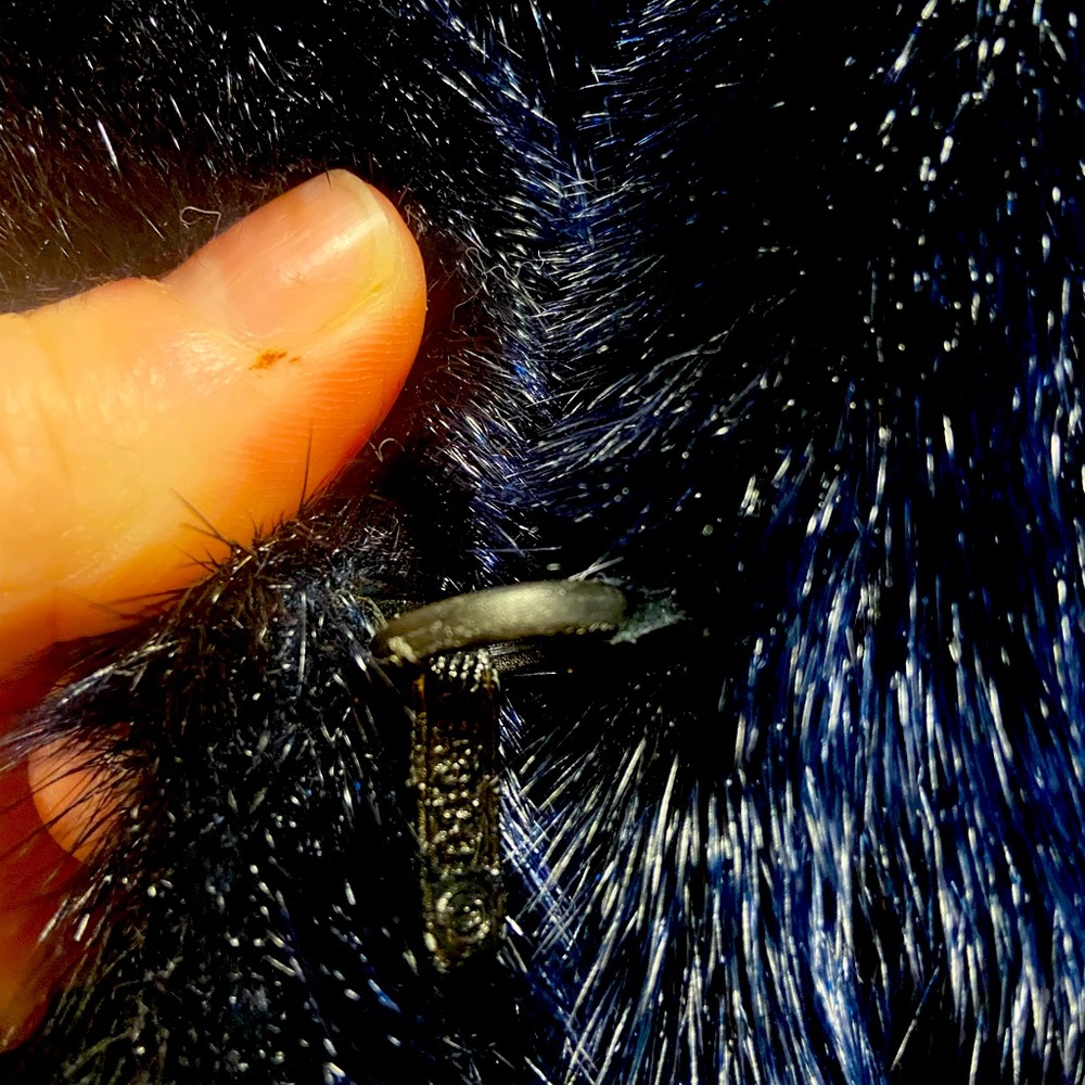 sealskin coat